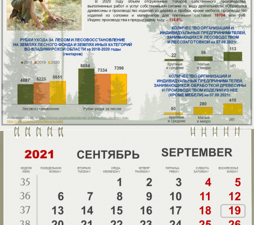 19 сентября – День работников леса